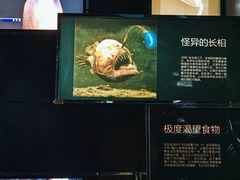 -同济大学四平路校区深海探索馆