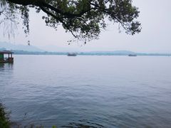 -浙江西子宾馆·牡丹厅