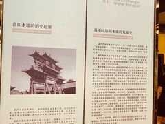 -真不同饭店(中州东路店)
