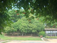 -钟山体育运动公园