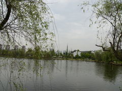 -杏花村文化旅游区