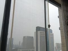 -桐乡植物园