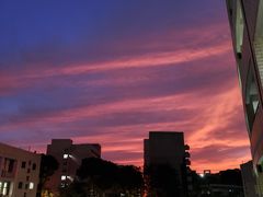 -广东科技学院(南城校区)