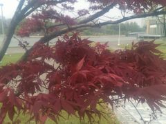 -白塘生态植物园