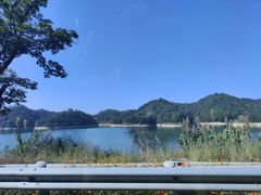-宝荣鱼馆·临湖之宴(千岛湖店)