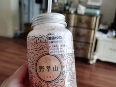 -野萃山·潮汕厚果汁(十亩地店)