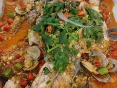 -金龙渔港(双楠店)