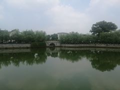 -八大山人梅湖景区