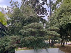 -杭州植物园