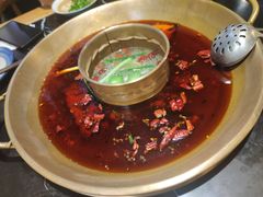 -杨家火锅(国美店)