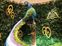 -咖啡苑 - 蔚藍夏日限定主题(永利皇宫店)