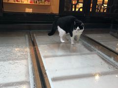 -猫的天空之城概念书店(杭州南宋御街店)