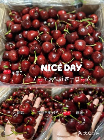 冬天就好这一口|今年第一波智利车厘子来袭