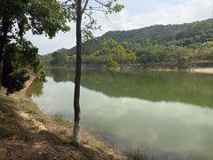 -凤岗南门山森林公园