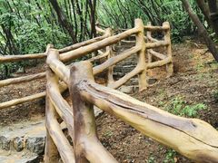 -黑龙潭风景区