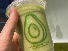 -油梨树AVOCADO TREE(望京店)