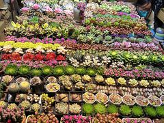 -朝来春花卉市场