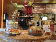 -The Lounge大堂酒廊·咖啡·沙拉·下午茶(金茂深圳JW万豪酒店)