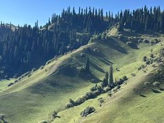 -新疆那拉提国家旅游度假区