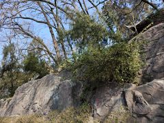 -子昂故里文化旅游区