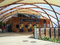 -怀托摩萤火虫洞