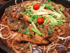 -老板恋上鱼(振华商厦店)
