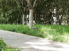-丰台花园