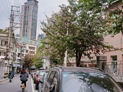 -溪岸路花鸟市场