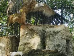 -海南热带野生动植物园