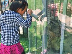 -萌宠亲子动物乐园(槐房万达店)