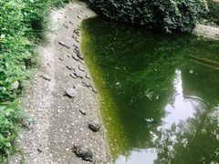 -香园自助小火锅