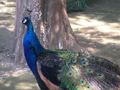 -南京金牛湖风景区