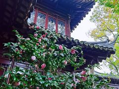 -豫园