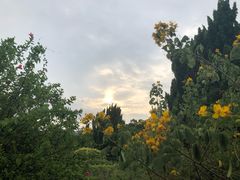 -南沙蒲洲花园