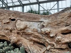 -南通洲际绿博园