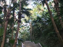 -中山公园(石岐街道)