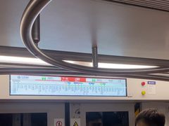 -大望路(地铁站)