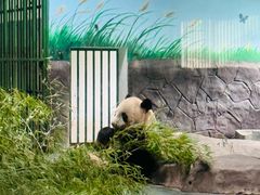 -安吉竹博园