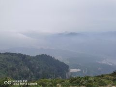 -蔡家酒楼(一德街店)