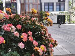-毛家饭店·30年融合新湘菜(汉峪金谷店)