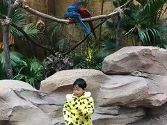 森泊休闲区-杭州开元森泊度假乐园