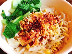 油泼扯面-左陕右甘(亚运村店)