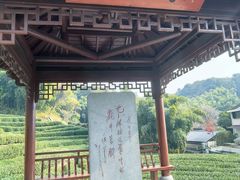 -法云安缦酒店