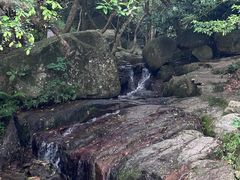 -阳台山森林公园
