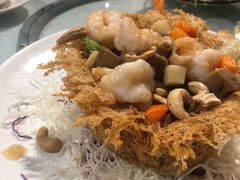 -詠春园