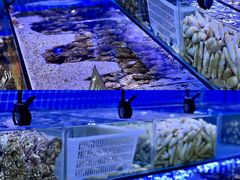 -渔民船说·北塘海鲜·天津菜·海肠捞饭(北塘古镇店)