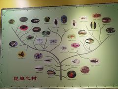 -上海昆虫博物馆