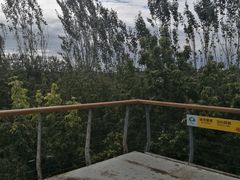 -东郊湿地公园