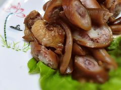 -光辉公鸡馆(事业小区店)