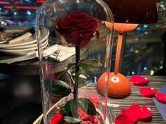 -BLACKSWAN黑天鹅(环球店)